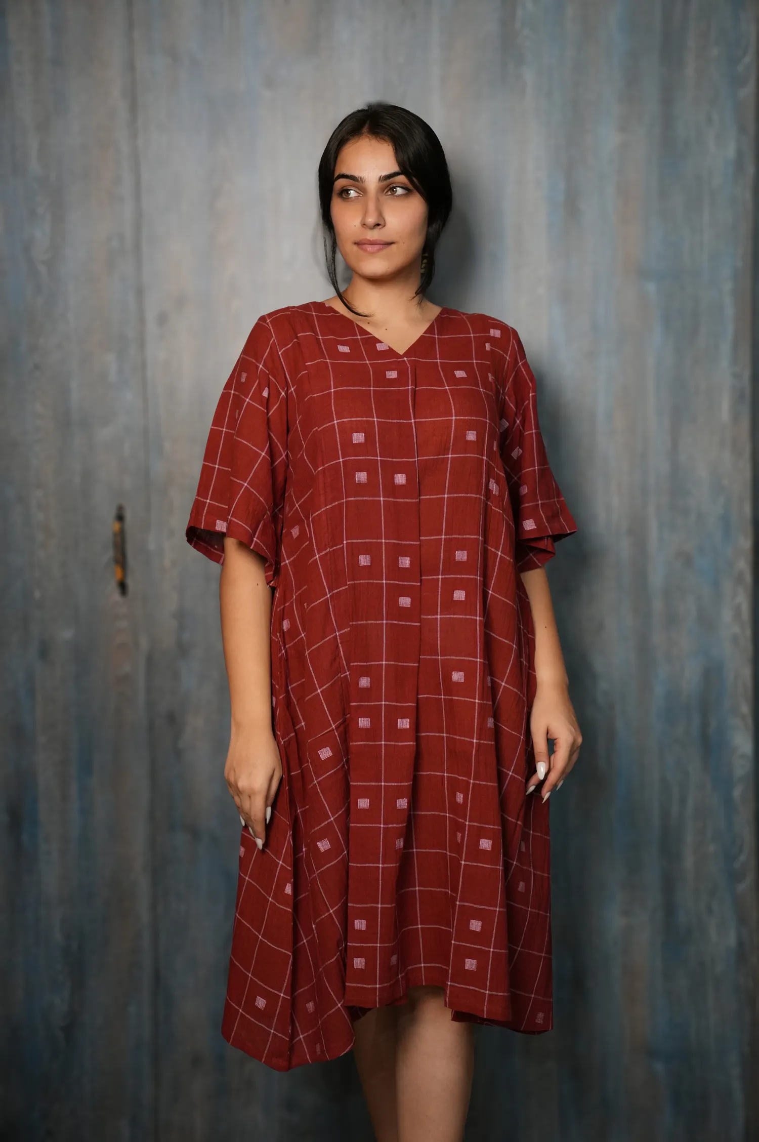 Straight-fit handwoven cotton blue and white checkered dress-2